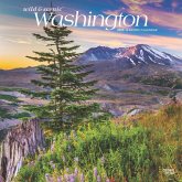 Washington Wild & Scenic 2025 12 X 24 Inch Monthly Square Wall Calendar Plastic-Free