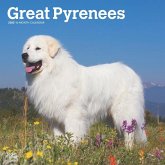 Great Pyrenees 2025 12 X 24 Inch Monthly Square Wall Calendar Plastic-Free