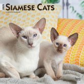 Siamese Cats 2025 12 X 24 Inch Monthly Square Wall Calendar Plastic-Free
