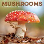 Mushrooms 2025 7 X 7 Mini Wall Calendar