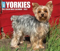 Yorkies 2025 6.2 X 5.4 Box Calendar - Willow Creek Press