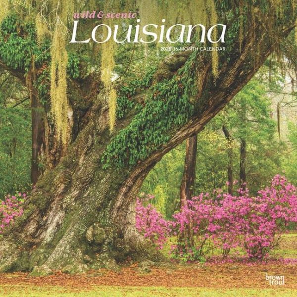 Louisiana Wild & Scenic 2025 12 X 24 Inch Monthly Square Wall Calendar Plastic-Free Louisiana Wild & Scenic 2025 12 X 24 Inch Monthly Square Wall Calendar Plastic-Free