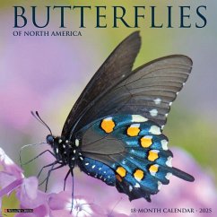 Butterflies 2025 12 X 12 Wall Calendar - Willow Creek Press