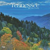 Tennessee Wild & Scenic 2025 12 X 24 Inch Monthly Square Wall Calendar Plastic-Free
