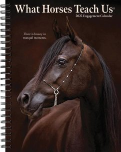 What Horses Teach Us 2025 6.5 X 8.5 Engagement Calendar - Willow Creek Press