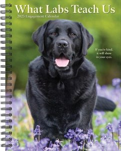 What Labs Teach Us 2025 6.5 X 8.5 Engagement Calendar - Willow Creek Press