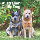 Australian Cattle Dogs 2025 12 X 24 Inch Monthly Square Wall Calendar Plastic-Free