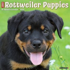 Just Rottweiler Puppies 2025 12 X 12 Wall Calendar - Willow Creek Press