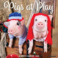 Pigs at Play 12 X 12 Wall Calendar - Willow Creek Press