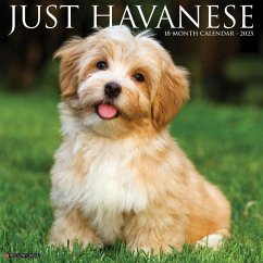 Just Havanese 2025 12 X 12 Wall Calendar - Willow Creek Press