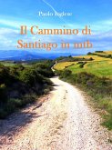 Il Cammino di Santiago in mtb guida per bici italiana italiano (eBook, ePUB)