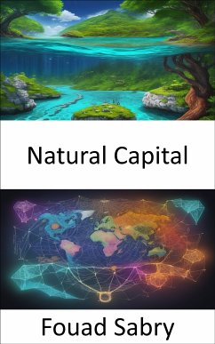 Natural Capital (eBook, ePUB) - Sabry, Fouad