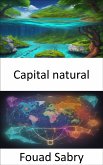 Capital natural (eBook, ePUB)