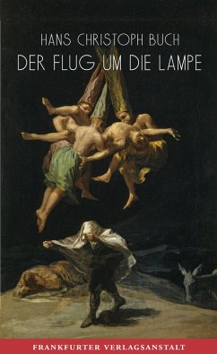 Der Flug um die Lampe (eBook, ePUB) - Buch, Hans Christoph