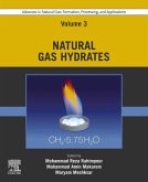 Advances in Natural Gas: Formation, Processing, and Applications. Volume 3: Natural Gas Hydrates (eBook, ePUB)