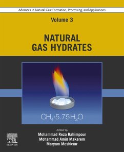 Cover Advances in Natural Gas: Formation, Processing, and Applications. Volume 3: Natural Gas Hydrates (eBook, ePUB)