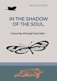 In the shadow of the soul. (eBook, ePUB)