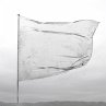 The Shape Of Fluidity (Digipak) - Bild 1
