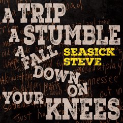 A Trip A Stumble A Fall Down On Your Knees - Seasick Steve