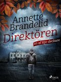 Direktören (eBook, ePUB) Direktören (eBook, ePUB)
