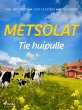Metsolat - Tie huipulle (eBook, ePUB) - Bild 1