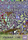 Kamerverhuur in Sloppenflats (eBook, ePUB)