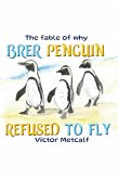The Fable of Why Brer Penguin Refused to Fly (eBook, ePUB)