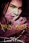 The Prisoner (The Dark Elf of Syron, #1) (eBook, ePUB)
