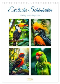 Exotische Schönheiten - prächtig bunte Vögel (Wandkalender 2025 DIN A3 hoch), CALVENDO Monatskalender