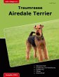 Traumrasse Airedale Terrier - Bild 1