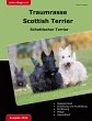 Traumrasse Scottish Terrier - Bild 1