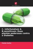 C. infortunatum & B.sensitivum: Duas plantas poderosas contra a Diabetes