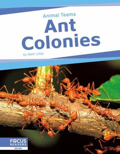 Ant Colonies - Lilley, Matt