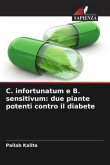 C. infortunatum e B. sensitivum: due piante potenti contro il diabete