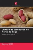 Cultura do amendoim no Norte do Togo