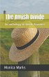 The Amish Divide An Anthology of Amish... - Bild 1
