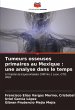 Tumeurs osseuses primaires au Mexique :... - Bild 1