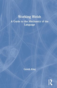 Working Welsh - King, Gareth