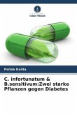 C. infortunatum & B.sensitivum:Zwei starke Pflanzen gegen Diabetes