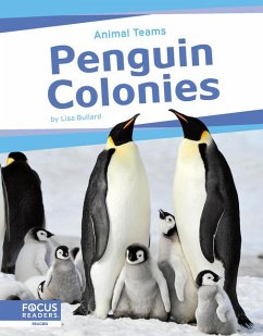 Penguin Colonies - Bullard, Lisa