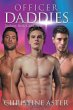 Officer Daddies - Bild 1