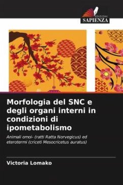 Morfologia del SNC e degli organi interni in condizioni di ipometabolismo - Lomako, Victoria
