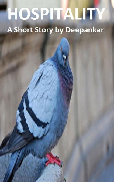 Hospitality (eBook, ePUB)