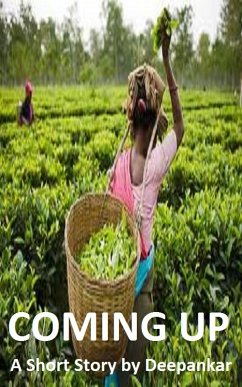 Cover Coming Up (eBook, ePUB)