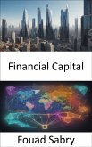 Financial Capital (eBook, ePUB)