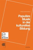 Populäre Musik in der kulturellen Bildung (eBook, PDF)
