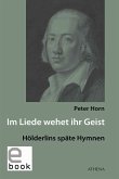 Im Liede wehet ihr Geist (eBook, PDF)