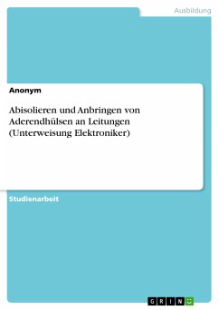 Abisolieren und Anbringen von Aderendhülsen an Leitungen (Unterweisung Elektroniker) (eBook, PDF)