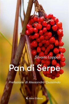 Pan di Serpe (eBook, ePUB) - Loppoli, Silvano