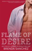 Flames of Desire (eBook, ePUB)